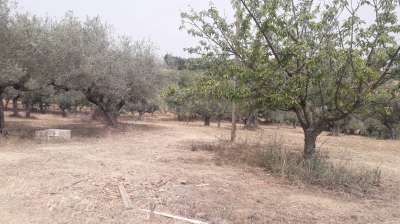 Vendita Terreno, Cepagatti Vendita Terreno, Cepagatti