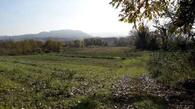 Vendita Terreno, Cepagatti