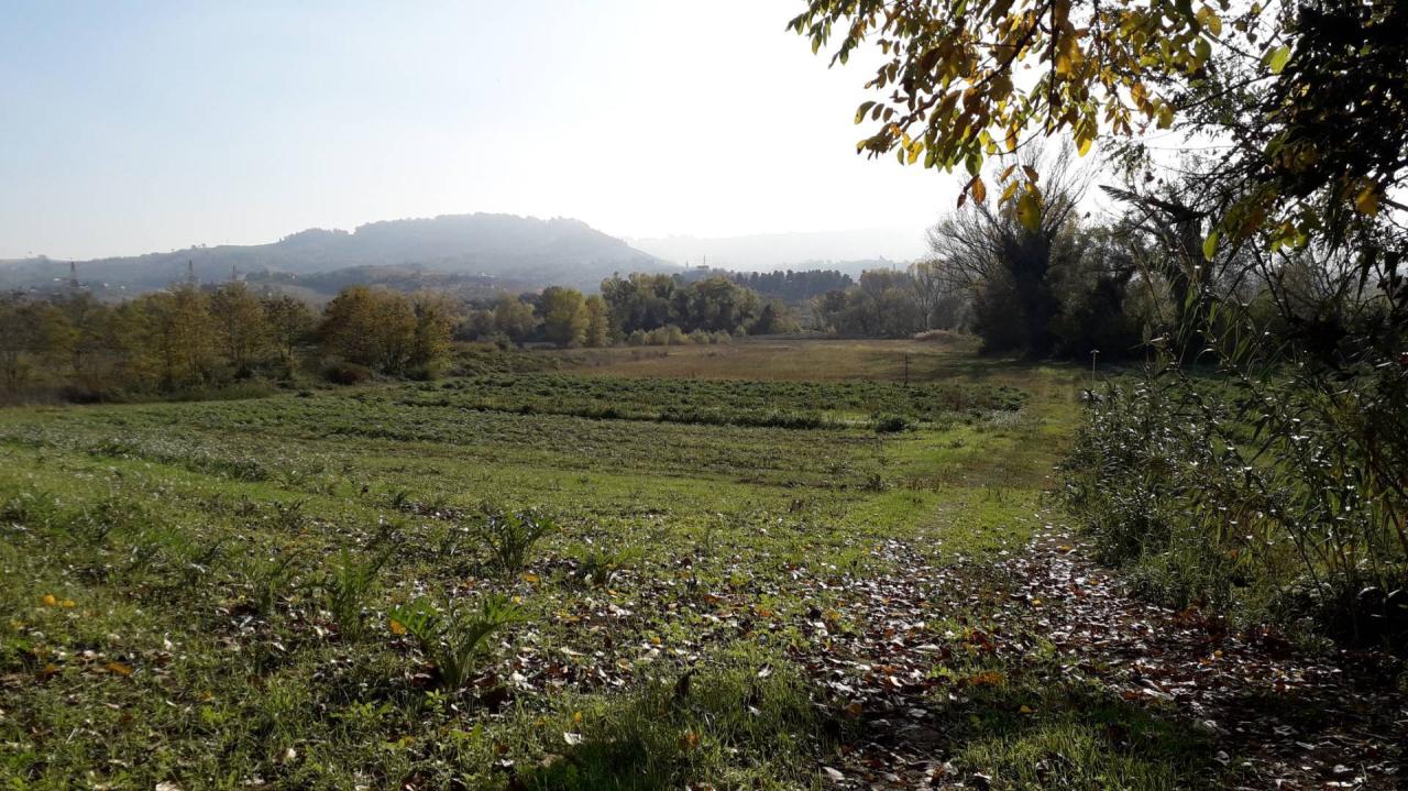Vendita Terreno, Cepagatti foto
