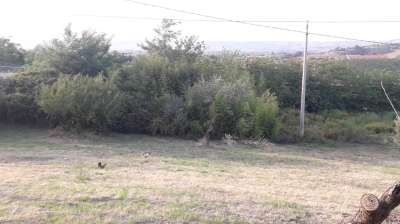 Vendita Terreno, Alanno Vendita Terreno, Alanno
