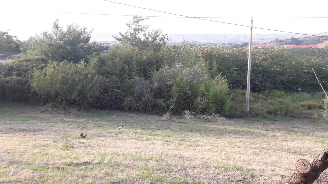 Vendita Terreno, Alanno foto