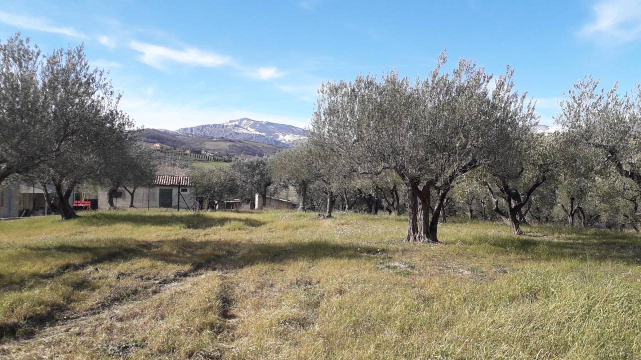 Vendita Terreno, Alanno foto