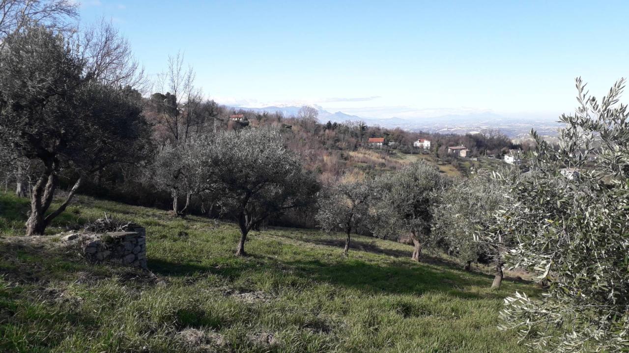 Vendita Casa indipendente, Roccamontepiano foto