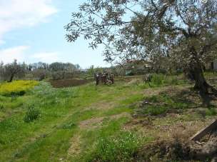 Vendita Terreno, Monteodorisio