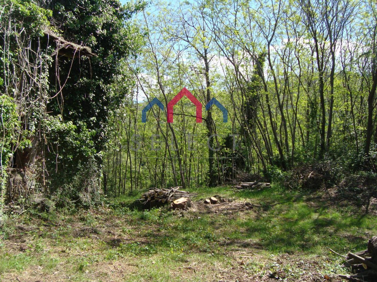 Vendita Rustico, Borgo a Mozzano foto