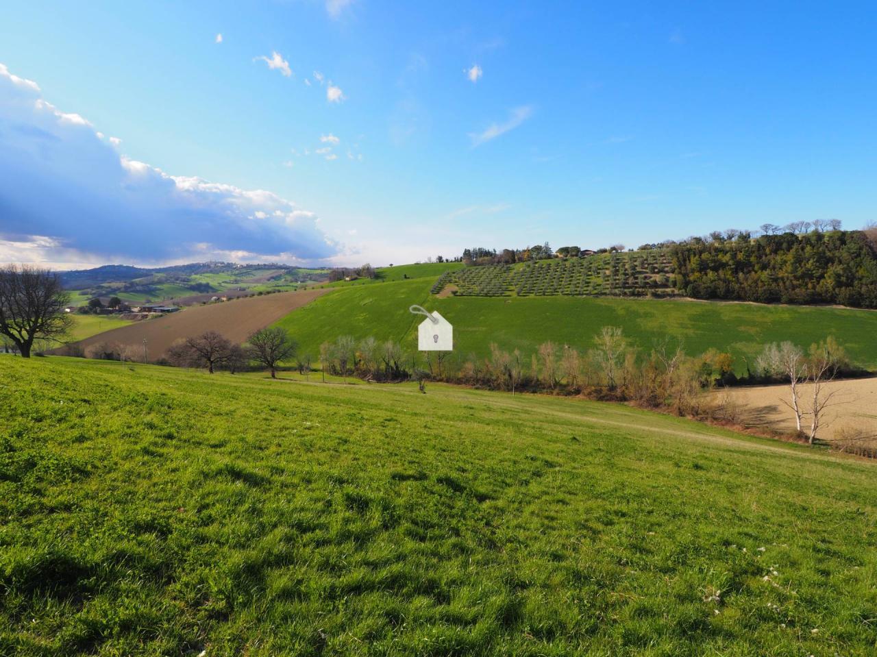 Vendita Terreno, Mogliano foto