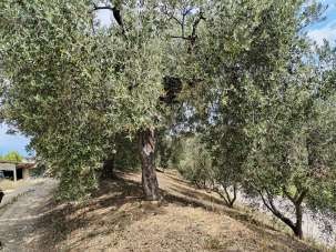 Vendita Rustico, Monteprandone Vendita Rustico, Monteprandone