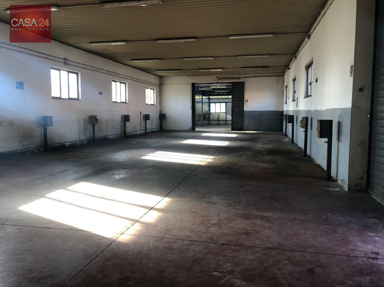 Vendita Magazzino, Sabaudia foto