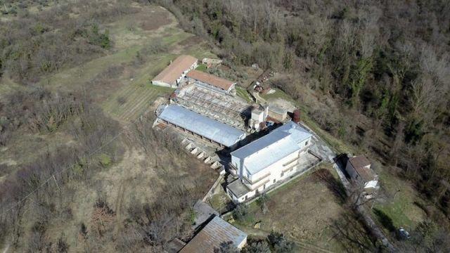 Vendita Capannone, Rapino foto