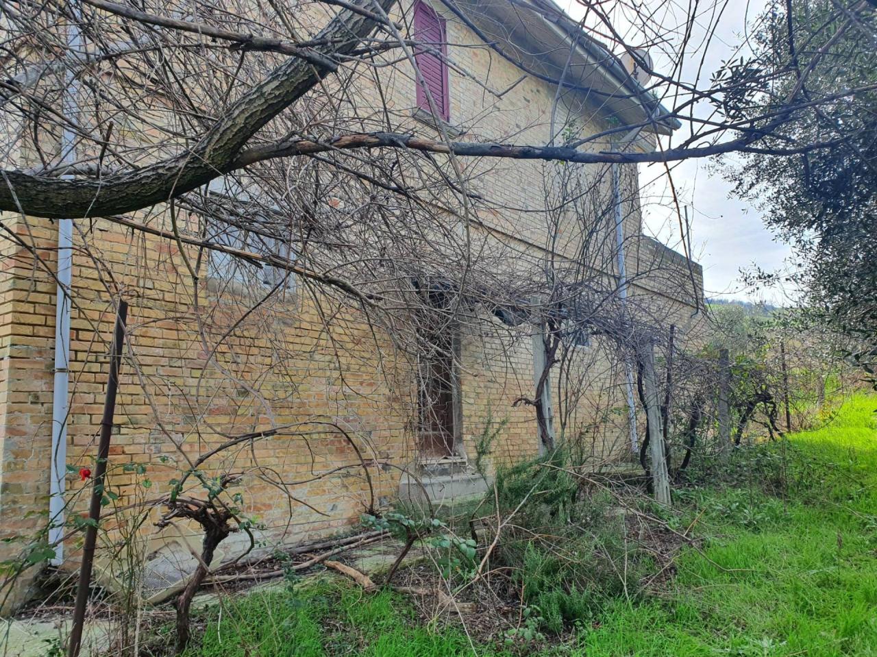 Vendita Terreno, Ancarano foto