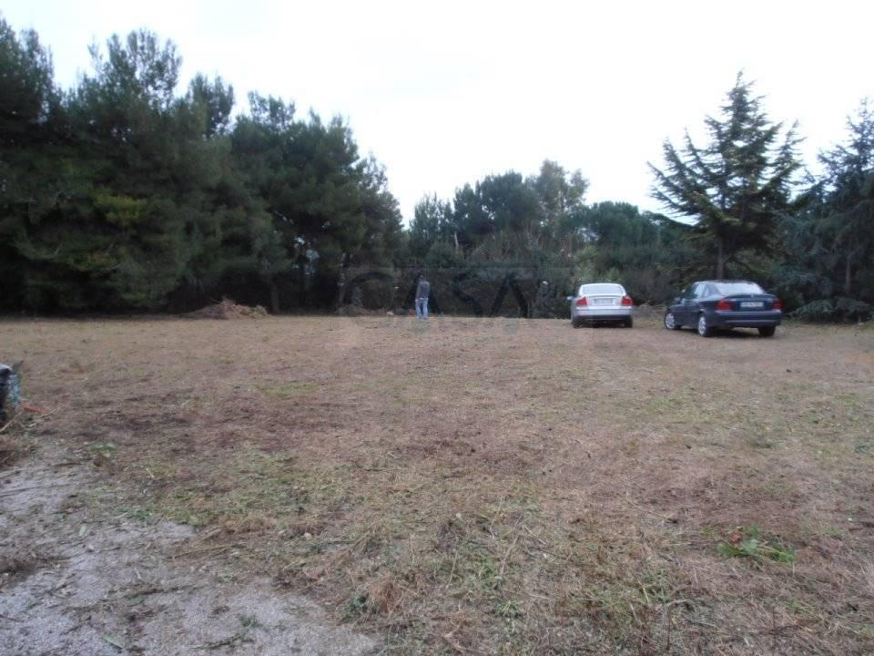 Affitto Locale commerciale, Grottammare foto