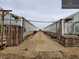 Vendita Terreno, Assemini Vendita Terreno, Assemini