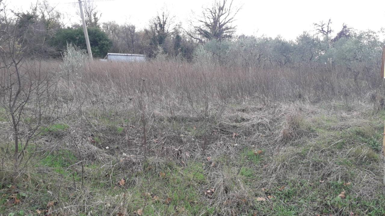 Vendita Terreno, Lettomanoppello foto