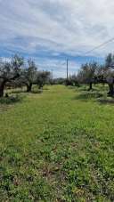Vendita Terreno, Pianella Vendita Terreno, Pianella
