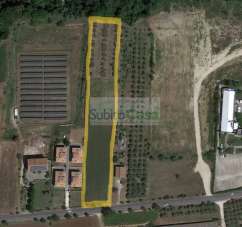 Vendita Terreno, Rosciano Vendita Terreno, Rosciano