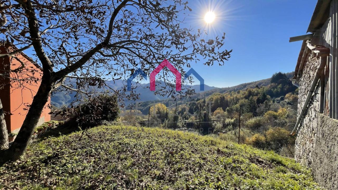 Vendita Rustico, Borgo a Mozzano foto