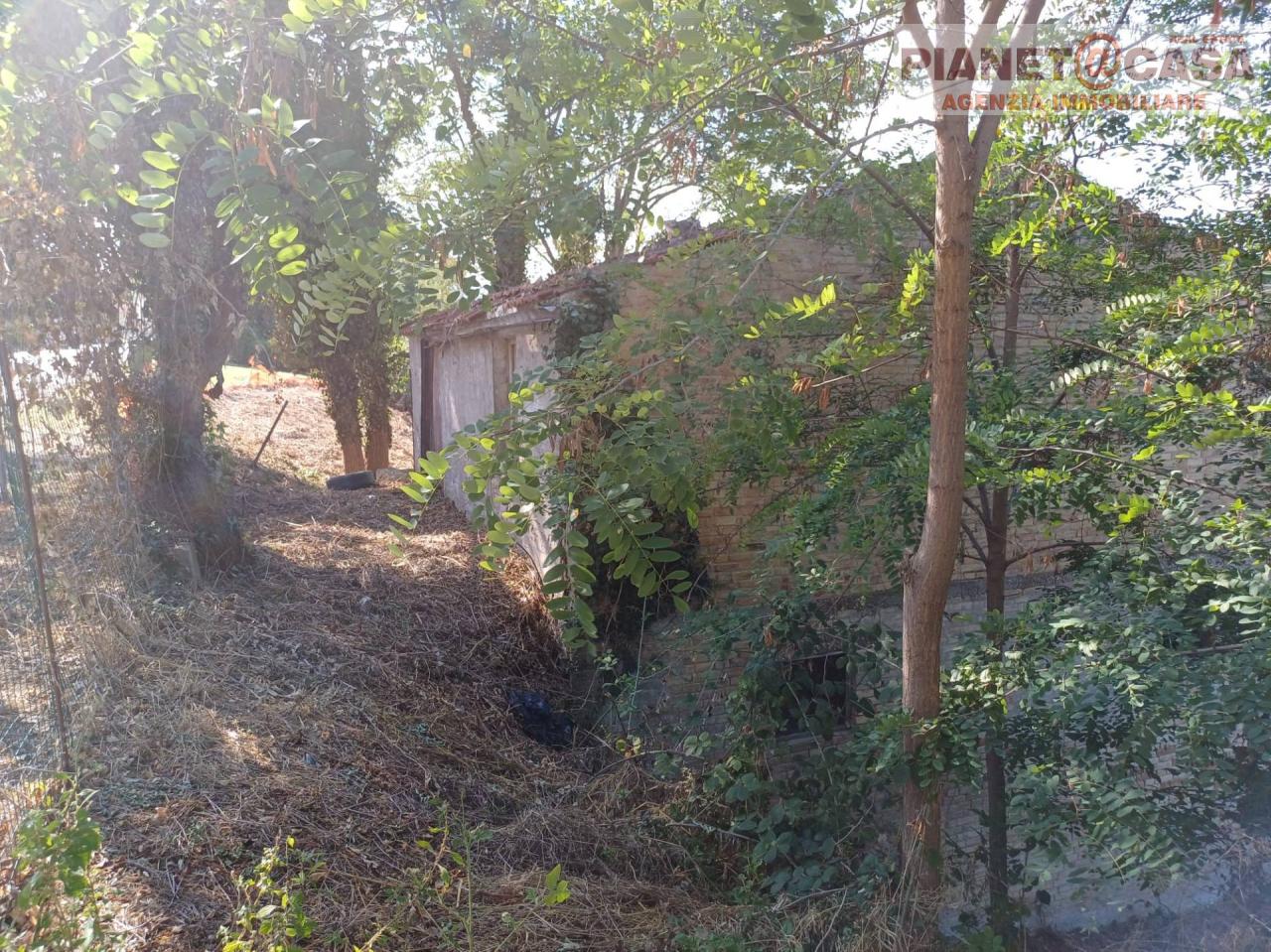 Vendita Rustico, Appignano del Tronto foto