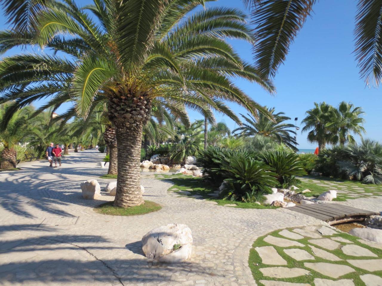 Vendita Attività commerciale, San Benedetto del Tronto foto