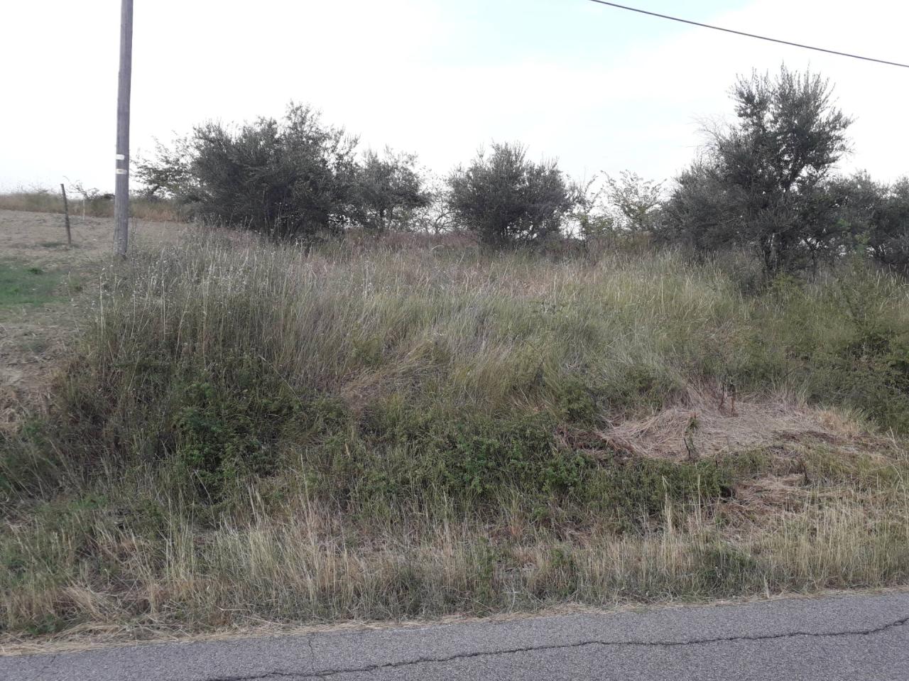 Vendita Terreno, Serramonacesca foto