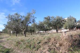 Vendita Terreno, Cupello