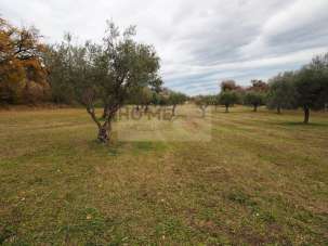 Vendita Terreno, Corridonia Vendita Terreno, Corridonia