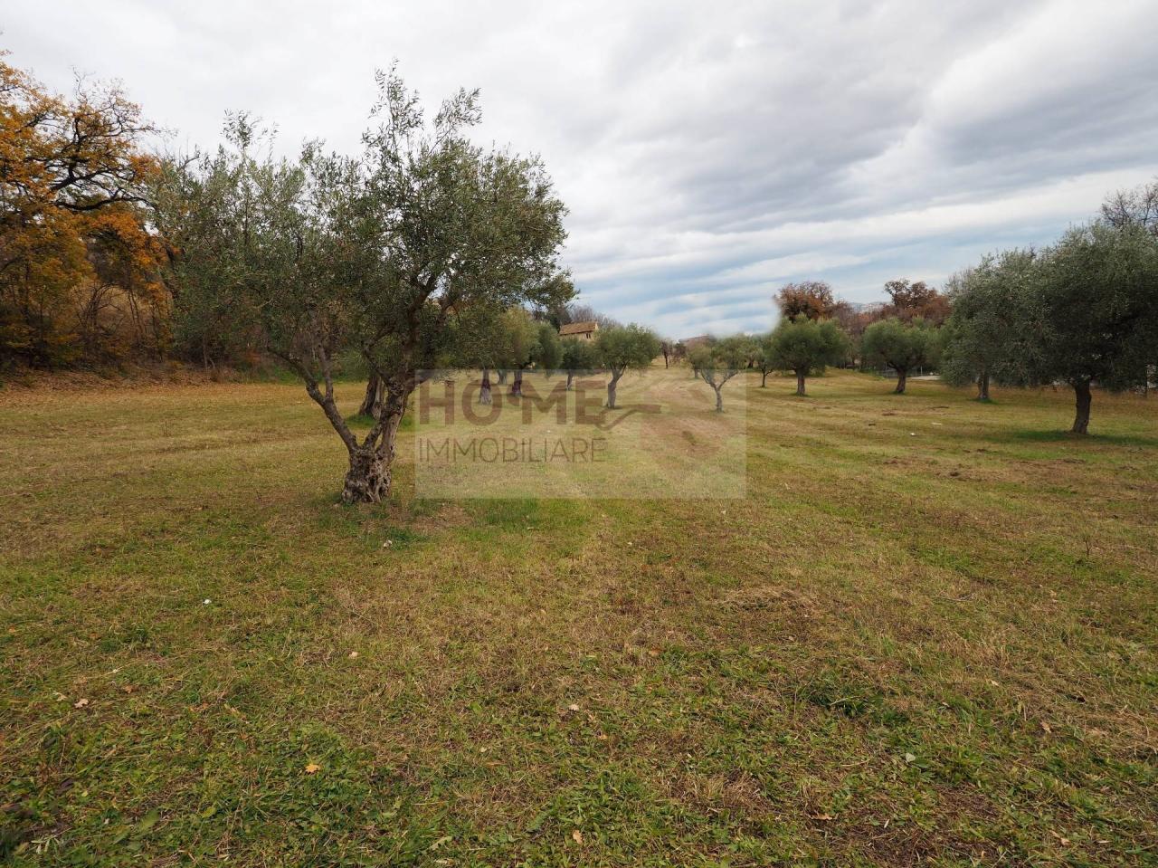 Vendita Terreno, Corridonia foto