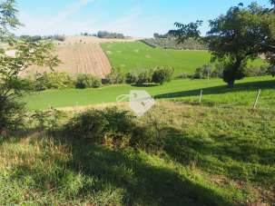 Vendita Rustico, Mogliano