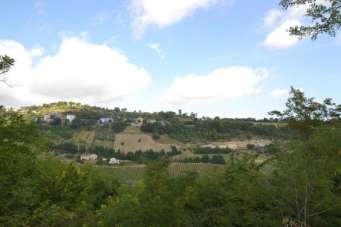Vendita Rustico, Montefiore dell'Aso