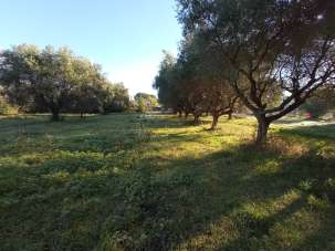 Vendita Rustico, Martinsicuro