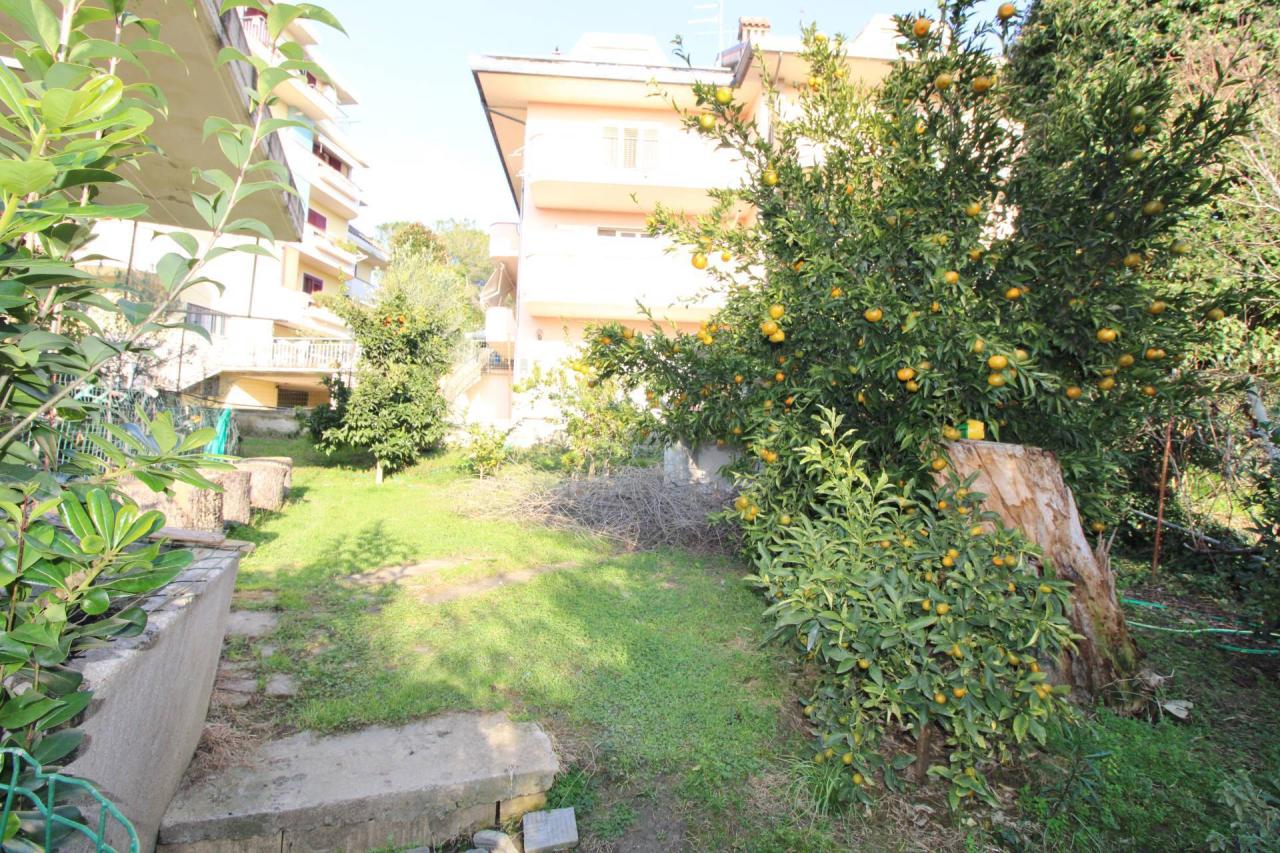 Vendita Casa indipendente, Monsampolo del Tronto foto