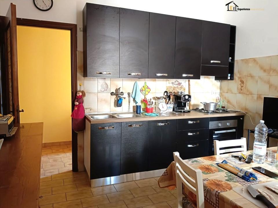Vendita Trivani, Forano foto