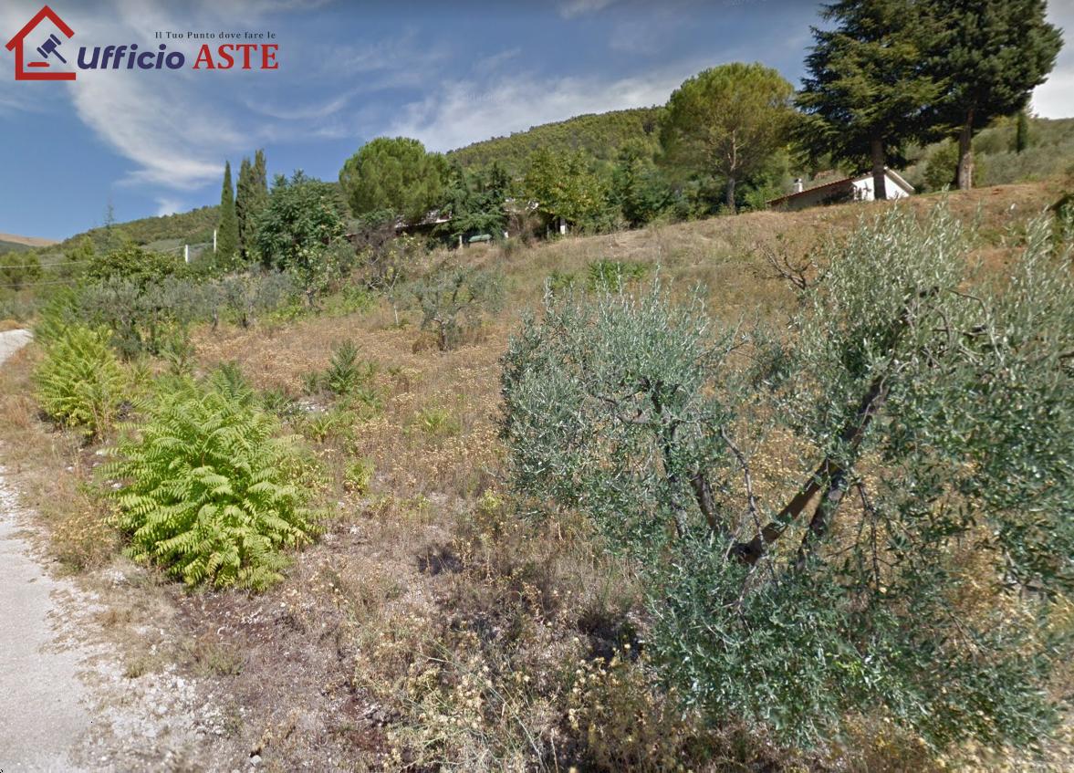 Vendita vendita, Spello foto
