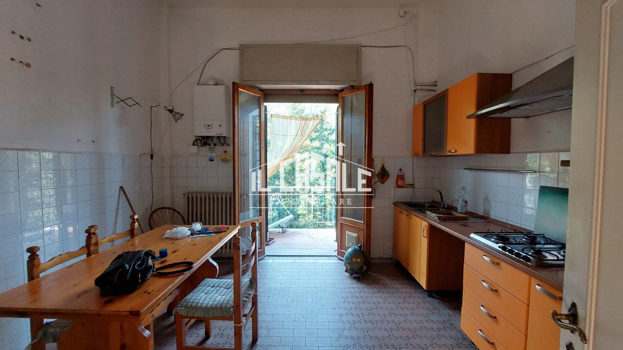 Vendita Trivani, San Godenzo foto