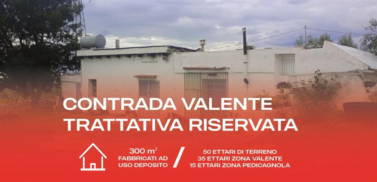 Vendita Rustico / Casale, San Giovanni Rotondo foto
