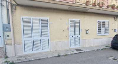 Vendita vendita, San Donaci Vendita vendita, San Donaci