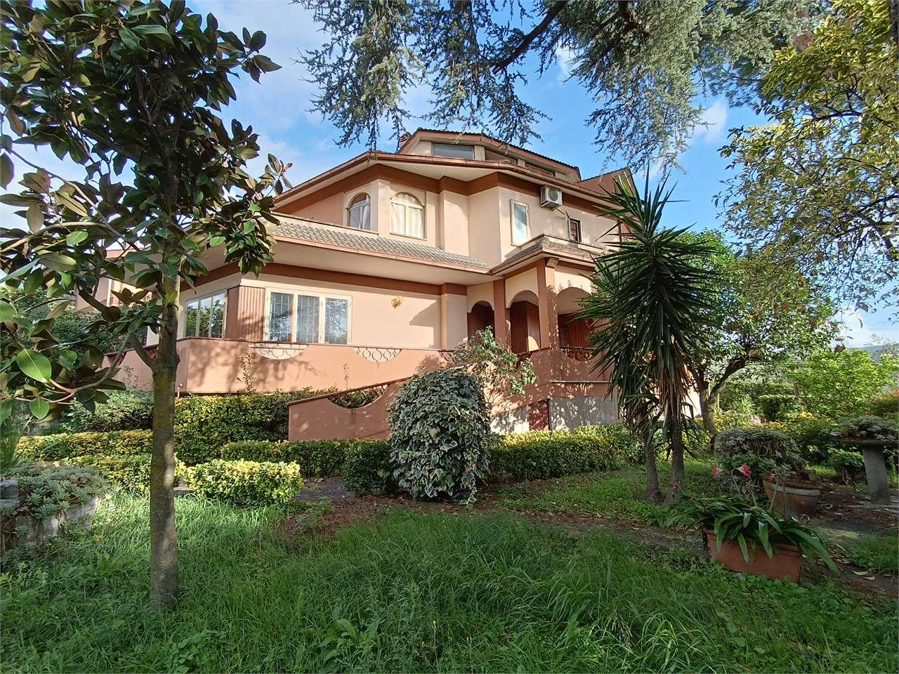 Vendita vendita, Roma foto