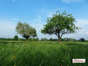 Vendita Loft, mansarde e attici, Corbetta Vendita Loft, mansarde e attici, Corbetta