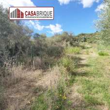 Vendita Terreno, Campofelice di Roccella Vendita Terreno, Campofelice di Roccella