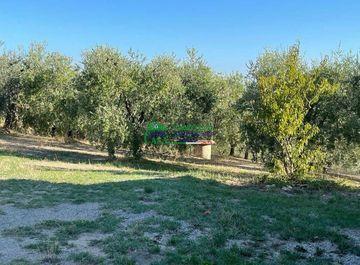 Vendita Terreno Agricolo, Comiso foto