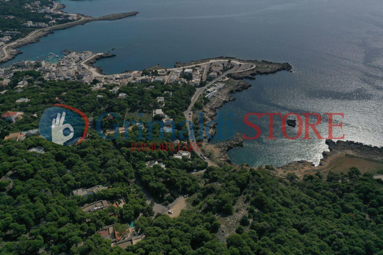 Vendita Esavani, Nardo foto