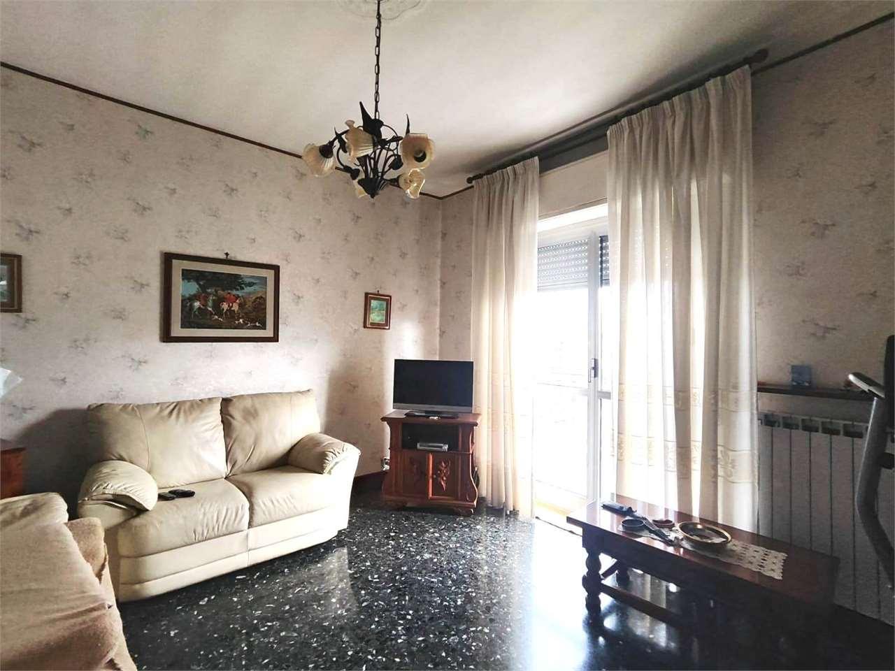 Vendita vendita, Cairo Montenotte foto