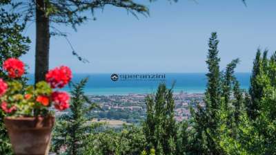 Vendita Esavani, Fano Vendita Esavani, Fano