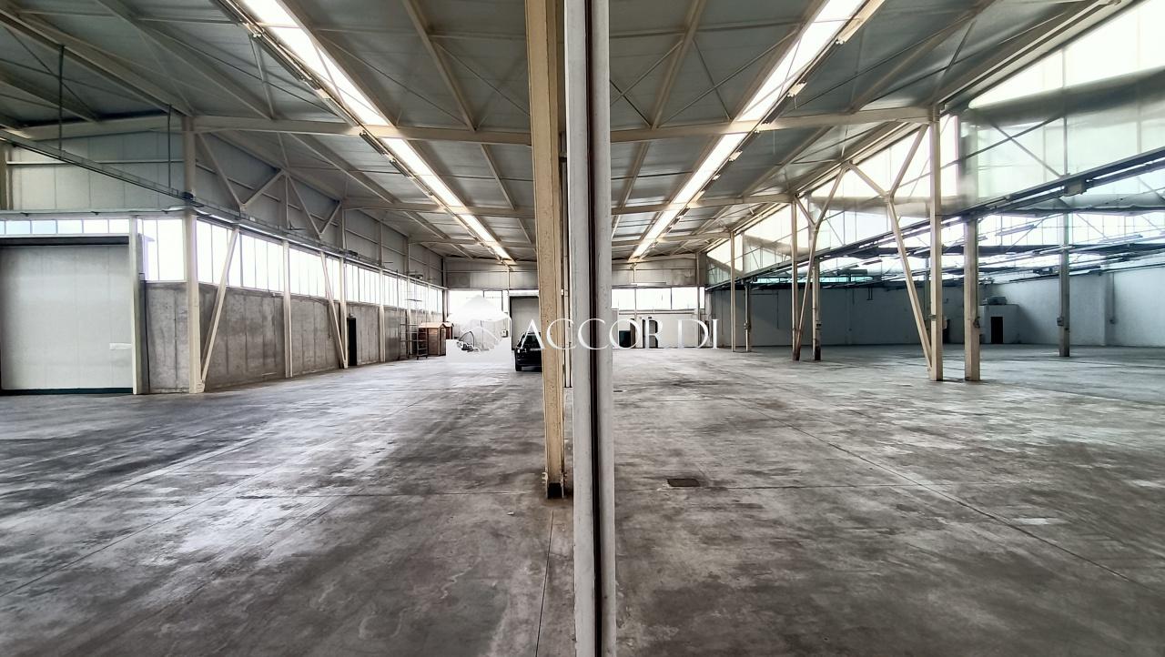 Affitto Trivani, Pederobba foto