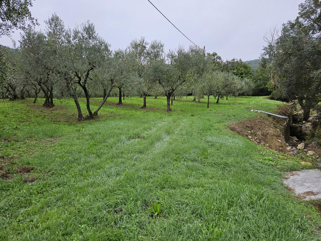 Vendita Altri immobili, Calenzano foto