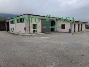 Affitto affitto, Gizzeria Affitto affitto, Gizzeria