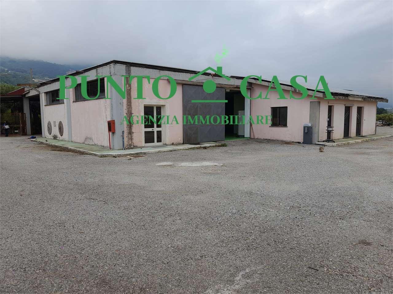 Affitto affitto, Gizzeria foto