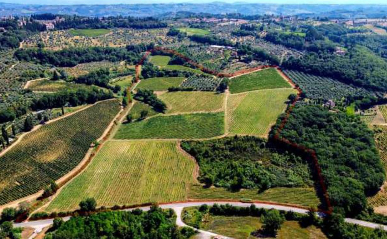 Vendita Terreno Agricolo, Montespertoli foto