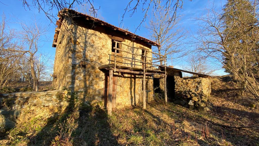 Vendita Trivani, Dego foto