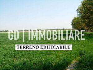 Vendita Case, Montebelluna