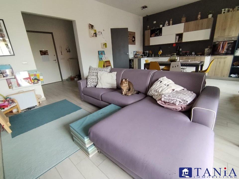 Vendita Trivani, Carrara foto